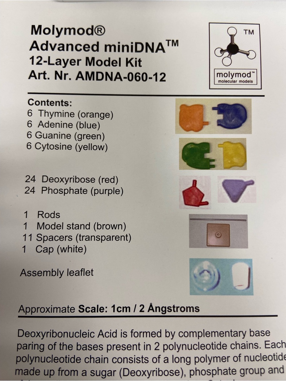 Molymod Advanced miniDNA Model Kit - Picture 8 of 12